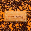 Neau tropics