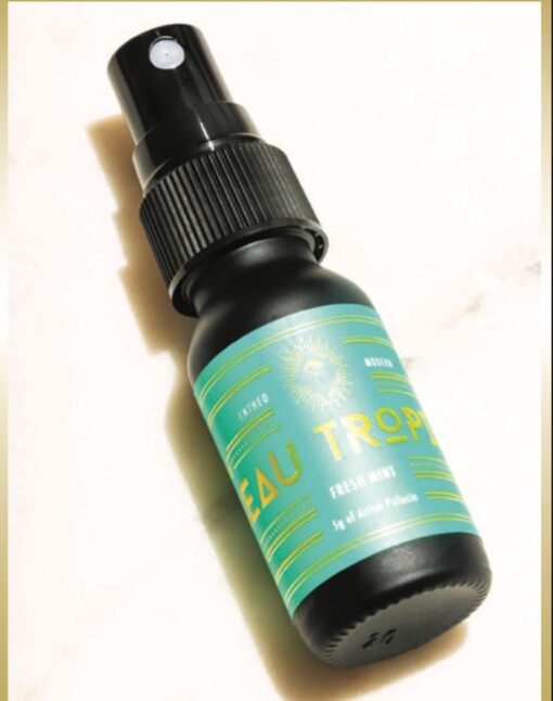 Neau Tropics
